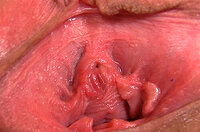 Access Gape My Pussy Free s0 Access Gape My Pussy Free s0