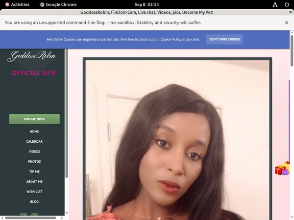 Bossy Robin $1 Porn Trial