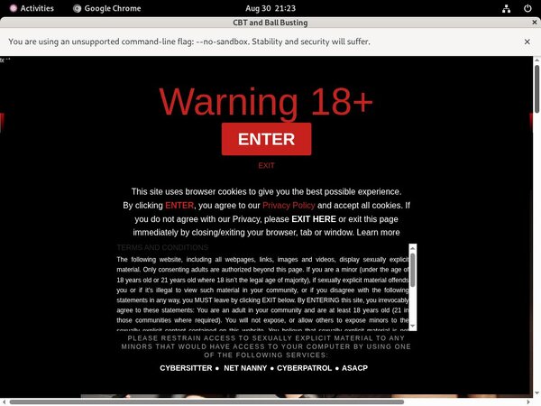CBT And Ball Busting Password Generator