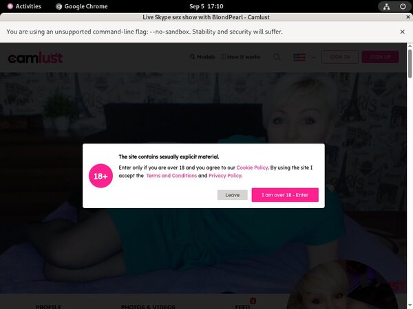 Camlust.com Passcodes