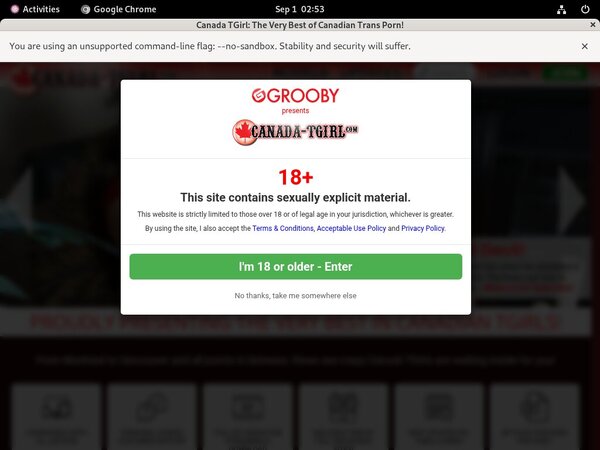 Canadatgirl Paysite Passwords Canadatgirl Paysite Passwords