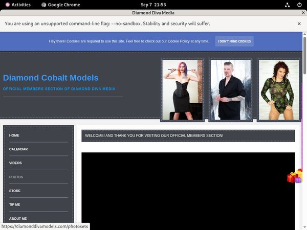 Diamonddivamodels.com Tumblr