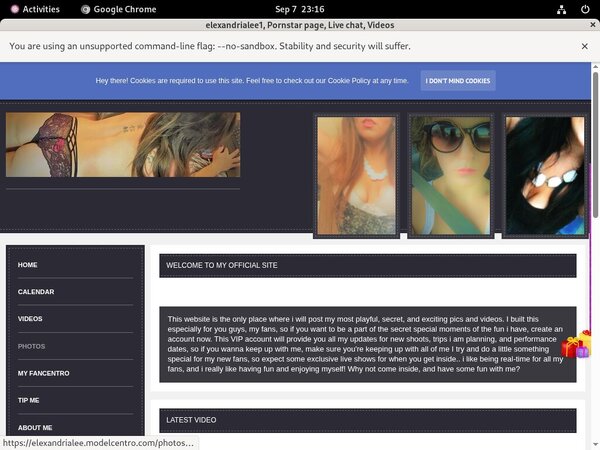 Elexandrialee.modelcentro.com Daily Passwords