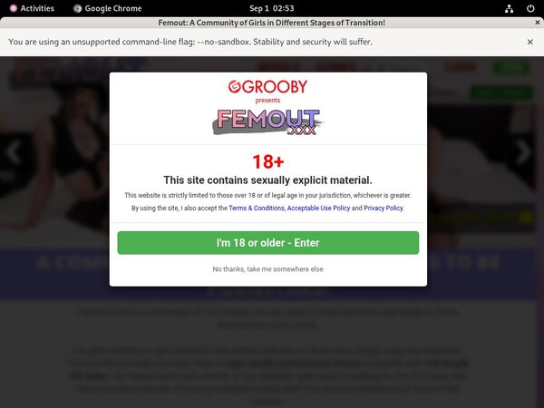 Femout XXX Paypal Offer Femout XXX Paypal Offer