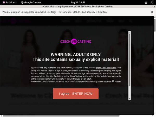 Free New Czech VR Casting