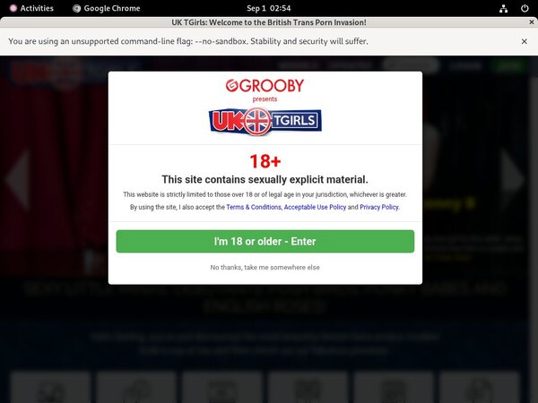 Free UK TGirls Logins
