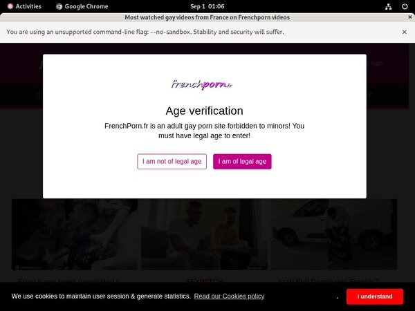 French Porn Gay Register