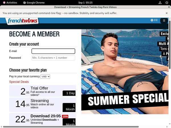 French-twinks.com Desktop