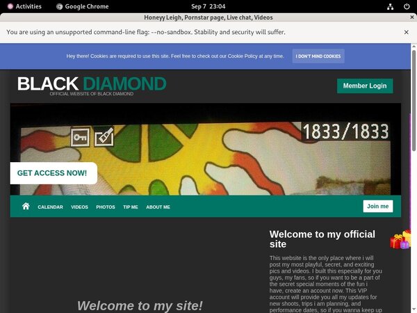 HoneyyLeigh Exit Discount