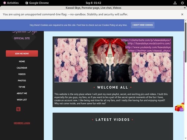 Kawaiiskye.modelcentro.com Tube