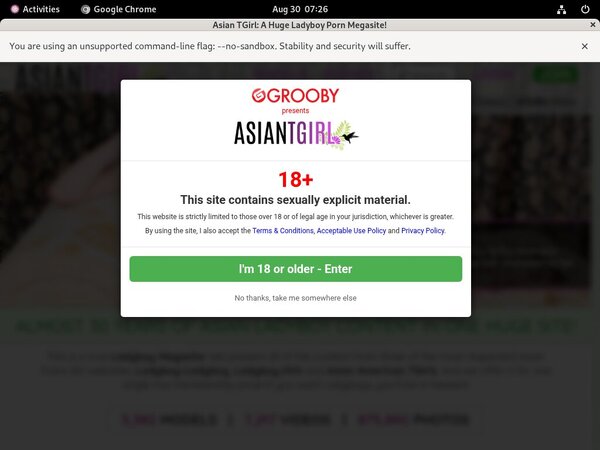 Ladyboy Ladyboy Con