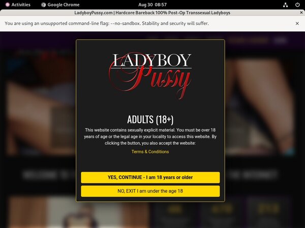 Ladyboypussy.com Premium Free Account