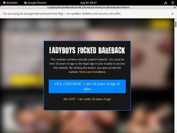 Ladyboysfuckedbareback.com Buy Credits