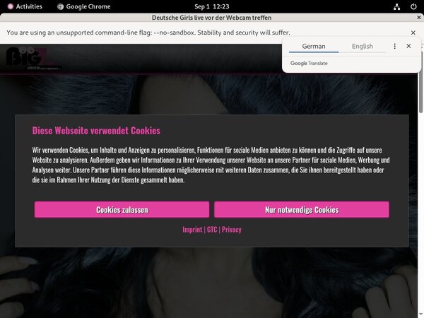 Lanagiselle.tv Logins Free