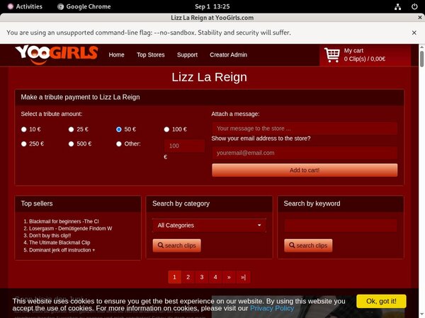 Lizz La Reign Promo Tour