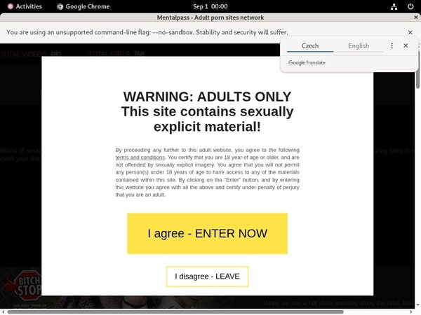 Mentalpass Free Account Password