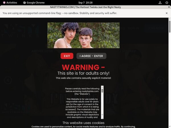 Nastytwinks.com Promo Code