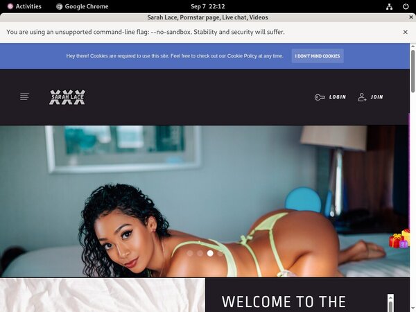 SarahLace Billing Page