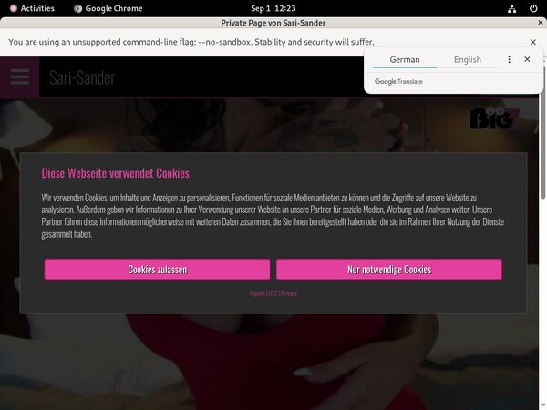 Sari-sander.com Free Clips