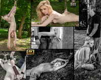 Trial Membership Subspace Land s1