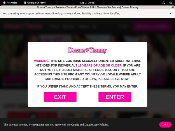Try Dreamtranny