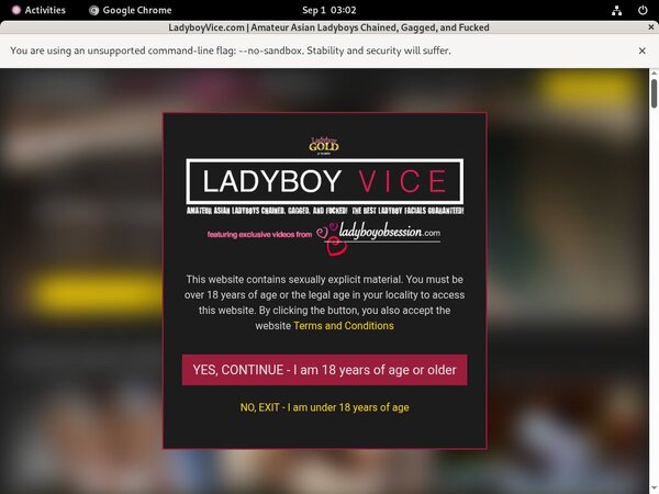 Videos De Ladyboy Vice