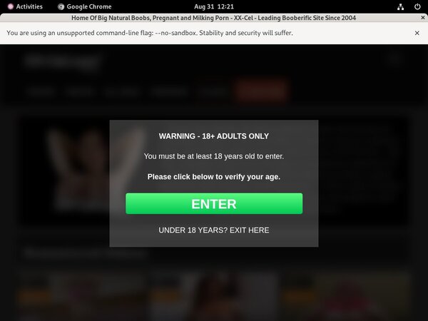 XX-Cel Acc Free XX-Cel Acc Free