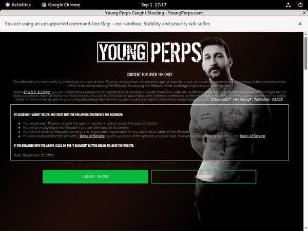 Youngperps Premium Password
