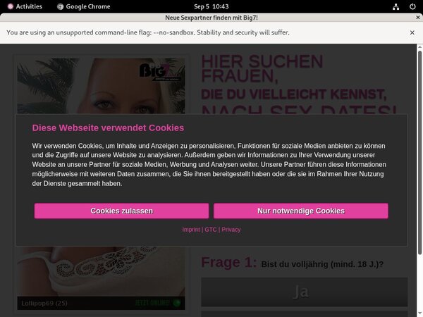 YourSecretDream Ccbillpay