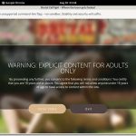 Discount On Brutal Catfight